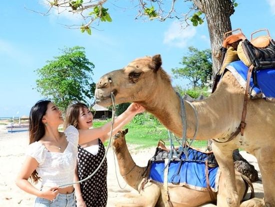 ig5cqh9r92l4sy988vl1l72zrdza7odg