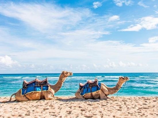 1rnv26rlbt1up25i0ukhxky0wclgi5l8