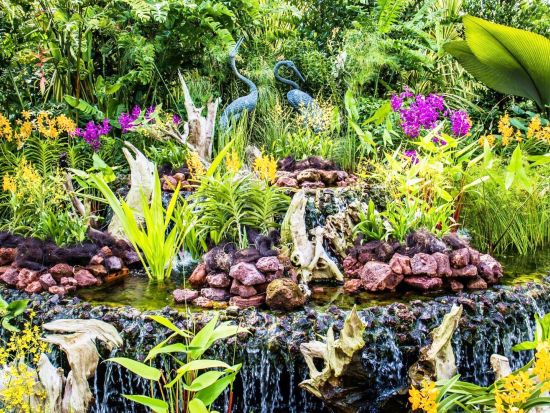 シンガポール市内観光ツアー　ミシュラン1つ星ランチ付き！マーライオン＋ガーデンズ・バイ・ザ・ベイ＋チャイナタウンなどを訪問＜半日or1日／日本語ガイド＞