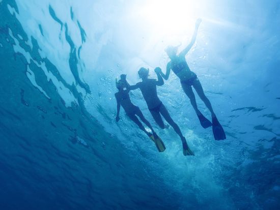 Snorkeling_Blue_Swimming_Ocean_Sunlight_shutterstock_310266890