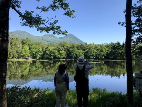 知床ガイド貸切ツアー 世界自然遺産の知床五湖を貸切でトレッキング＜半日／斜里町ウトロ発＞by知床のガイド屋 pikki