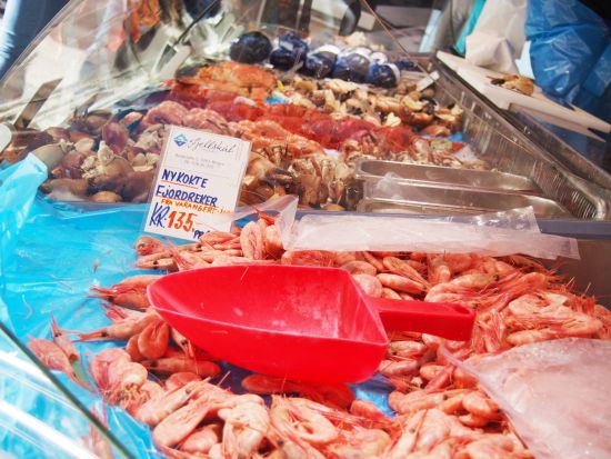 ベルゲン急行・フロム鉄道とソグネフィヨルド紀行 1泊2日周遊ツアー＜8月／日本語／オスロ発ベルゲン着＞by[みゅう]プチ旅