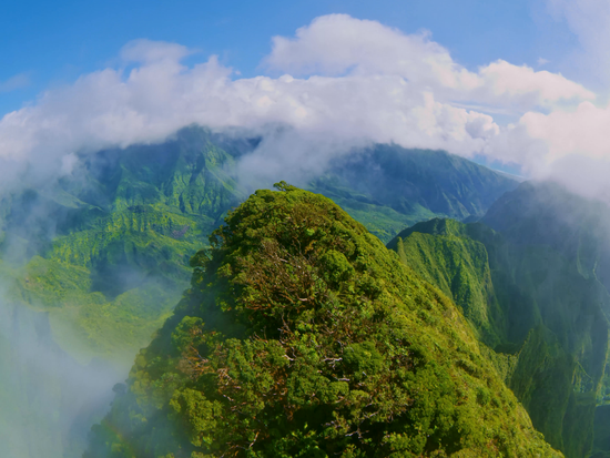 Screenshot 2025-02-21 at 11.28.15AM