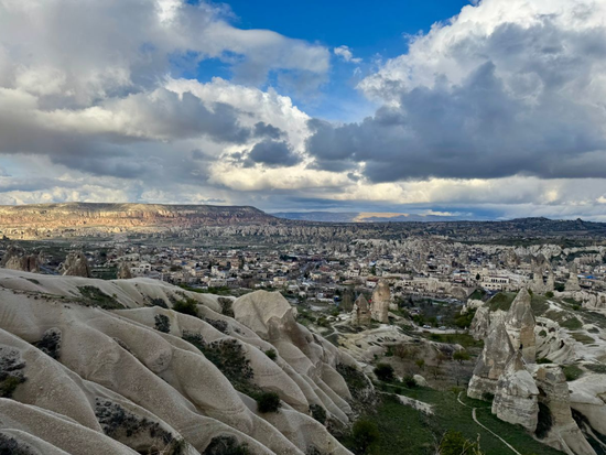 スクリーンショット2025-05-12090019