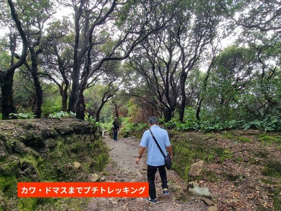 FULL DAY BANDUNG TOUR6