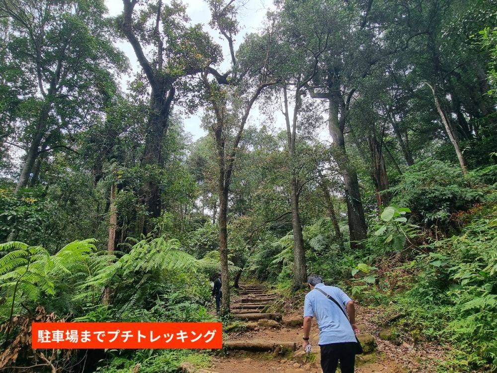 FULL DAY BANDUNG TOUR10