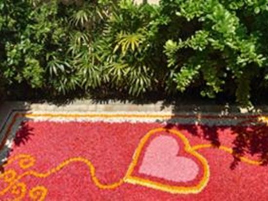 37h378tkhb5isau7swv4ug3f6jlilyn2