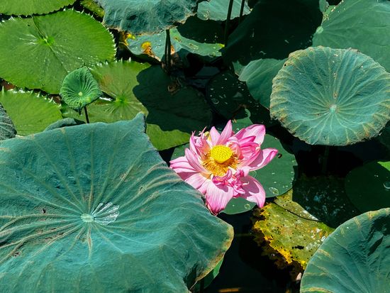 Tr00100420250512141618761