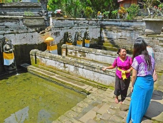 t5atobwopfzk4z507m905wo2fxs3pqqx