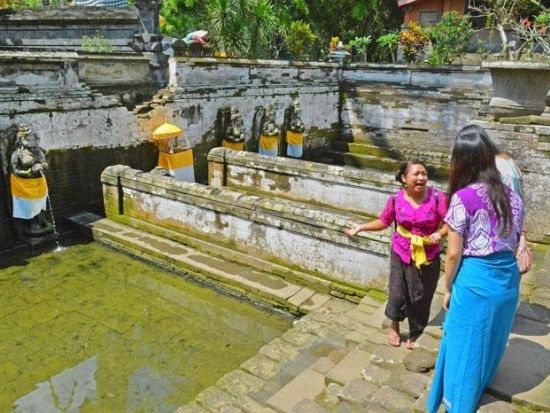 ウブド名所巡り＋バリサファリ1日ツアー　ゴアガジャ＋アラスハルム＋ウブド散策 ナイトサファリジャーニー＜昼食および夕食付き／日本語ガイド／シャトル乗り放題付き＞