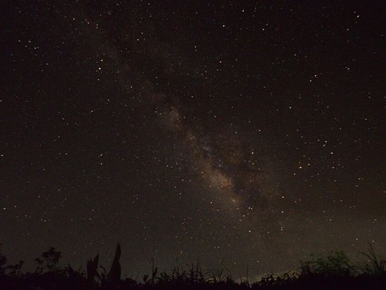 21230827_508534359508454_2307009654778803009_n[1]