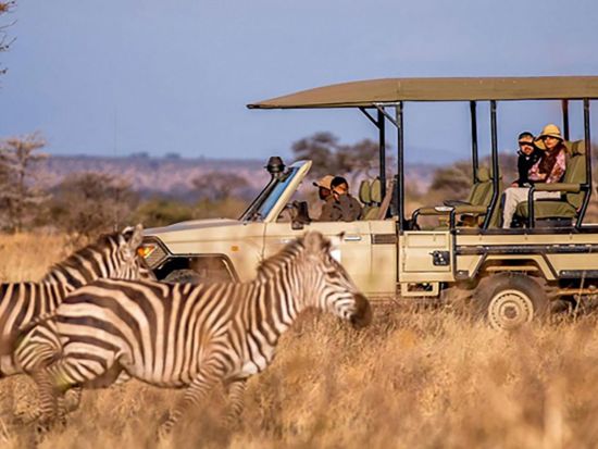 チョベ国立公園サファリツアー　チョベ川クルーズ＆4輪駆動車でゲームドライブ＜英語ドライバーガイド＞
