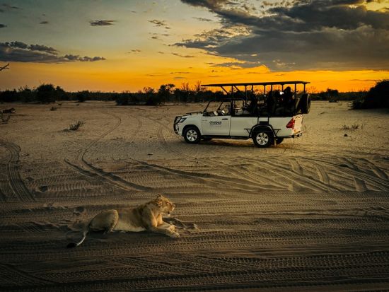 チョベ国立公園サファリツアー　チョベ川クルーズ＆4輪駆動車でゲームドライブ＜英語ドライバーガイド＞