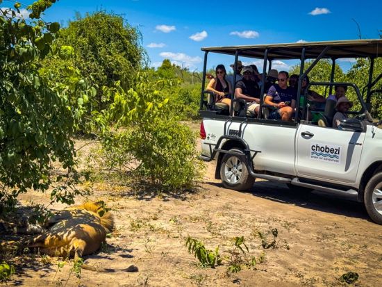チョベ国立公園サファリツアー　チョベ川クルーズ＆4輪駆動車でゲームドライブ＜英語ドライバーガイド＞