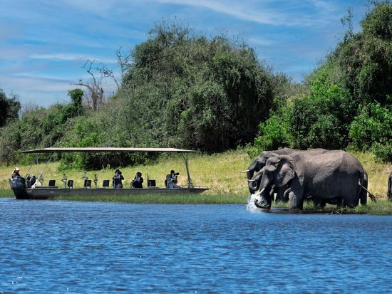 チョベ国立公園サファリツアー　チョベ川クルーズ＆4輪駆動車でゲームドライブ＜英語ドライバーガイド＞