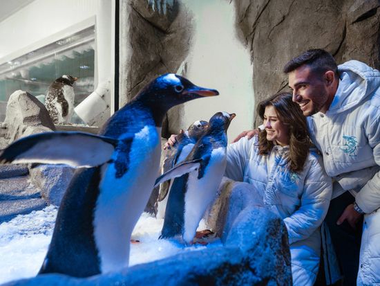 DSC06097-Enhanced-NR