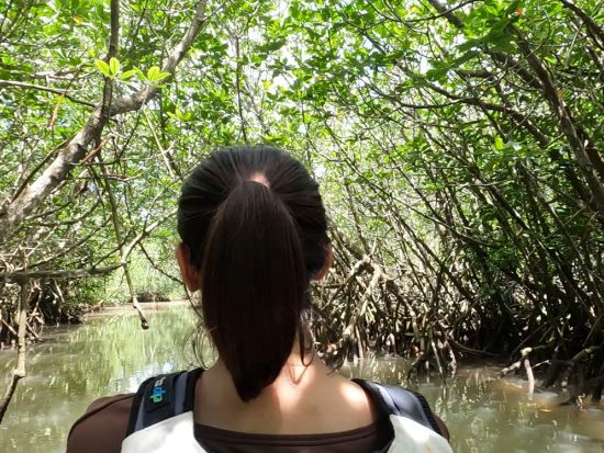 島尻マングローブカヤックツアー！ガイド歴28年のたっちゃんがご案内 宮古諸島最大規模の自然を探検＜午前・午後／2時間／3歳～／宮古島＞