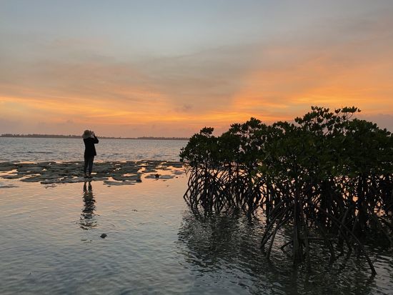 島尻マングローブカヤックツアー！ガイド歴28年のたっちゃんがご案内 宮古諸島最大規模の自然を探検＜午前・午後／2時間／3歳～／宮古島＞