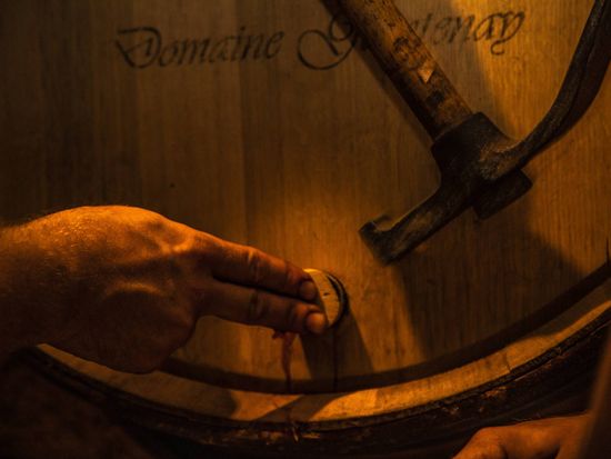 Morning_in_C_te_de_Beaune.3