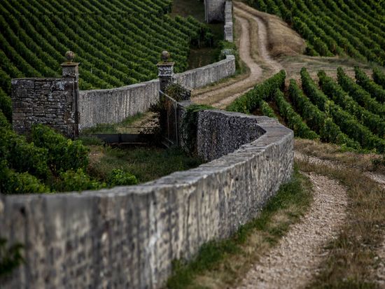 Afternoon_in_the_C_te_de_Nuits.1