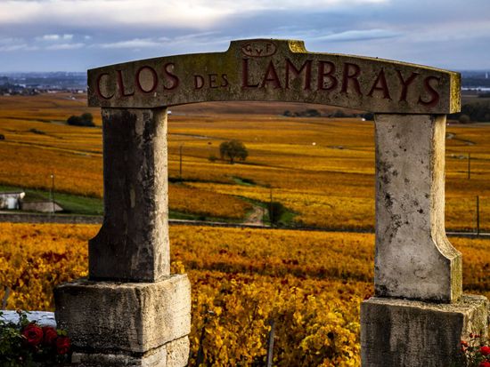 Afternoon_in_the_C_te_de_Nuits.2