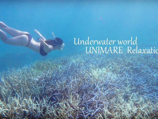 【奄美大島・北部中部エリア・貸切】スキンダイビング＆ネイチャーツアー選べる3プラン＜笠利町＞ by 奄美大島ウェルネス&アドベンチャーUNIMARE