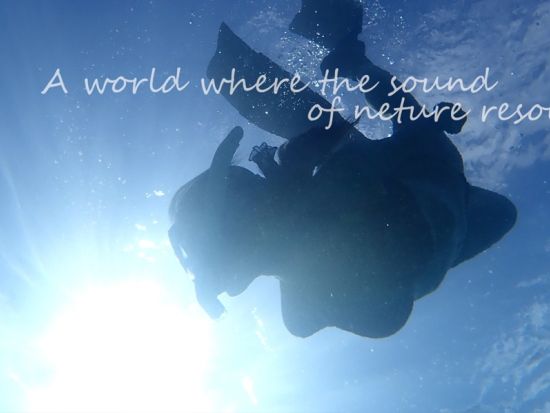 奄美大島でスキンダイビング: 奄美ブルーを満喫！（半日 or 1日）＜笠利町＞ by 奄美大島ウェルネス&アドベンチャーUNIMARE