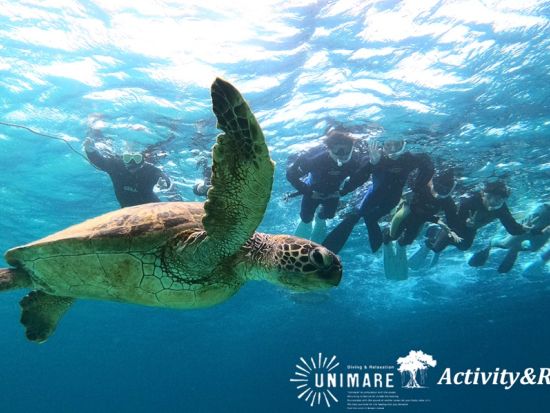 【奄美大島・北部中部エリア・貸切】冬も寒くならない防水ウミガメシュノーケル＆ネイチャーツアー選べる3プラン by奄美大島ウェルネス&アドベンチャーUNIMARE