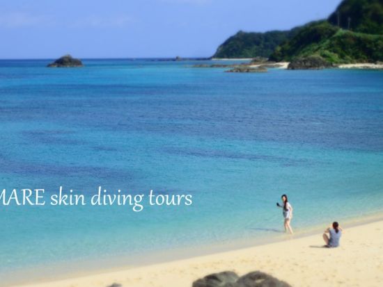 【奄美大島・北部中部エリア・貸切】冬も寒くならない防水ウミガメシュノーケル＆ネイチャーツアー選べる3プラン by奄美大島ウェルネス&アドベンチャーUNIMARE