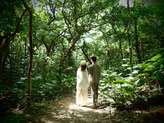 【奄美大島・北部中部エリア・貸切】奄美大島観光ツアー選べる4プラン by 奄美大島ウェルネス&アドベンチャーUNIMARE