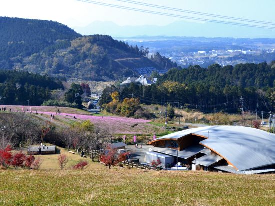 【熊本駅発／阿蘇駅着】貸切観光タクシー ONE PIECE像を巡るツアー 俵山交流館+上色見熊野座神社+熊本地震震災ミュージアム+草千里+阿蘇山火口＜約7時間＞