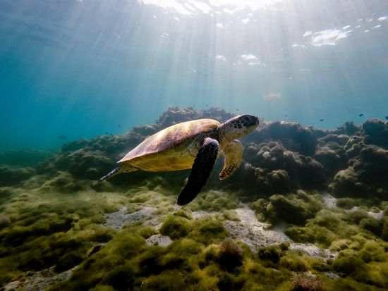 file-L4VKT83fcVruuGp9b7SSRA