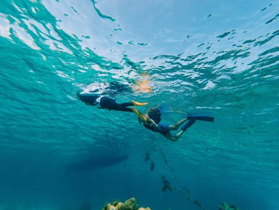 file-PbcPLvg1s5LoKK4qBhb1GZ