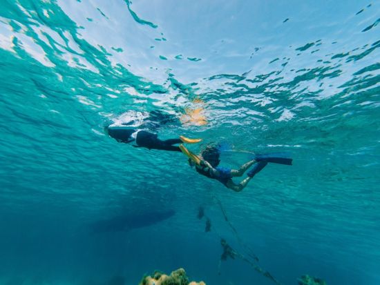 【ビジター専用】ボートシュノーケリング体験 カラフルな熱帯魚に出会える 乗船5分＆手ぶらでOK＜6歳～／最大8名／乗合／石垣島マエサトビーチ＞