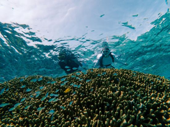 【ビジター専用】ボートシュノーケリング体験 カラフルな熱帯魚に出会える 乗船5分＆手ぶらでOK＜6歳～／最大8名／乗合／石垣島マエサトビーチ＞