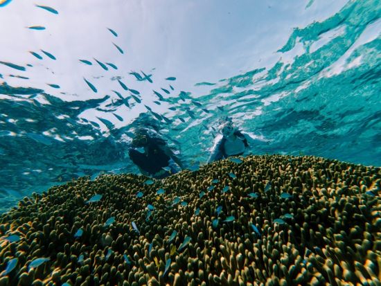 【ご宿泊者専用】ボートシュノーケリング体験 カラフルな熱帯魚に出会える 乗船5分＆手ぶらでOK＜6歳～／最大8名／乗合／石垣島マエサトビーチ＞