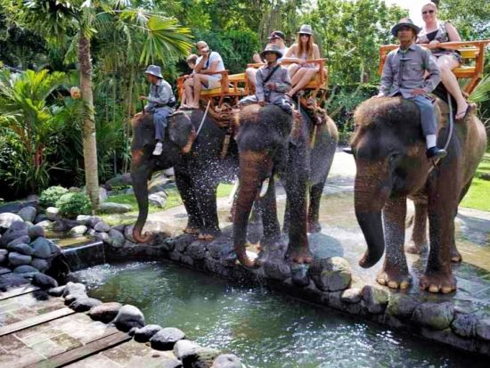 バリ動物園（Bali Zoo）チケット事前予約　オランウータンと朝食＋象乗り体験プランもご用意あり！