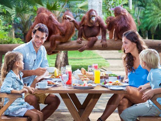 バリ動物園（Bali Zoo）チケット事前予約　オランウータンと朝食＋象乗り体験プランもご用意あり！