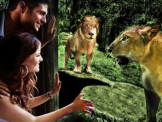 バリ動物園（Bali Zoo）チケット事前予約　オランウータンと朝食＋象乗り体験プランもご用意あり！