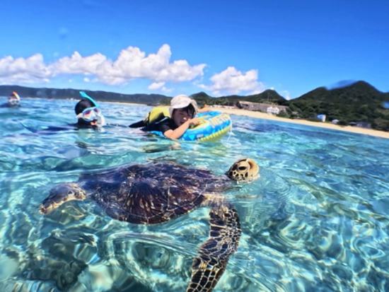 【ファミリー貸切】ウミガメシュノーケリング体験ツアー！水中動画無料プレゼント！遭遇率99.8%* 奄美の海で特別な思い出を＜約3時間＞byダイブセンターOKKY