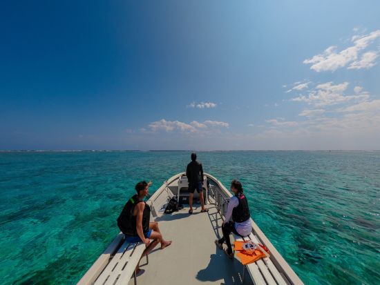【ビジター専用】ボートシュノーケリング体験 カラフルな熱帯魚に出会える 乗船5分＆手ぶらでOK＜6歳～／最大8名／乗合／石垣島マエサトビーチ＞