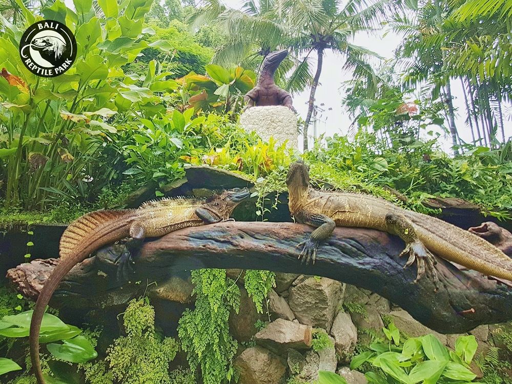 20250516022915_691365683_16981