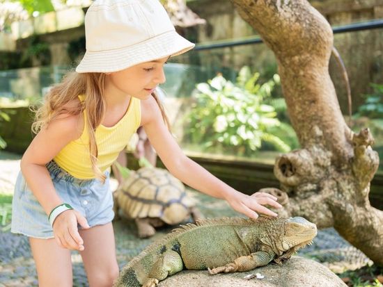 shutterstock_2357277433