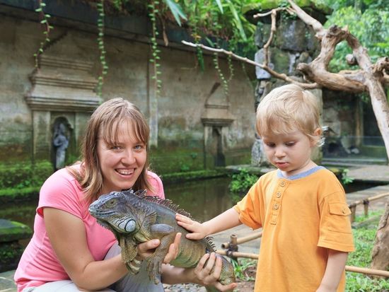 shutterstock_132782999