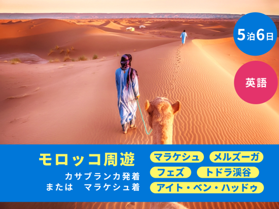 5泊6日 モロッコ周遊ツアー マラケシュほか6か所観光 迷宮都市フェズ2泊＜カサブランカ発着orマラケシュ着／英語＞