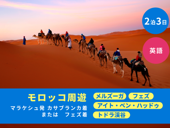 2泊3日 モロッコ周遊ツアー フェズほか5か所観光＜マラケシュ発フェズまたはカサブランカ着／英語＞