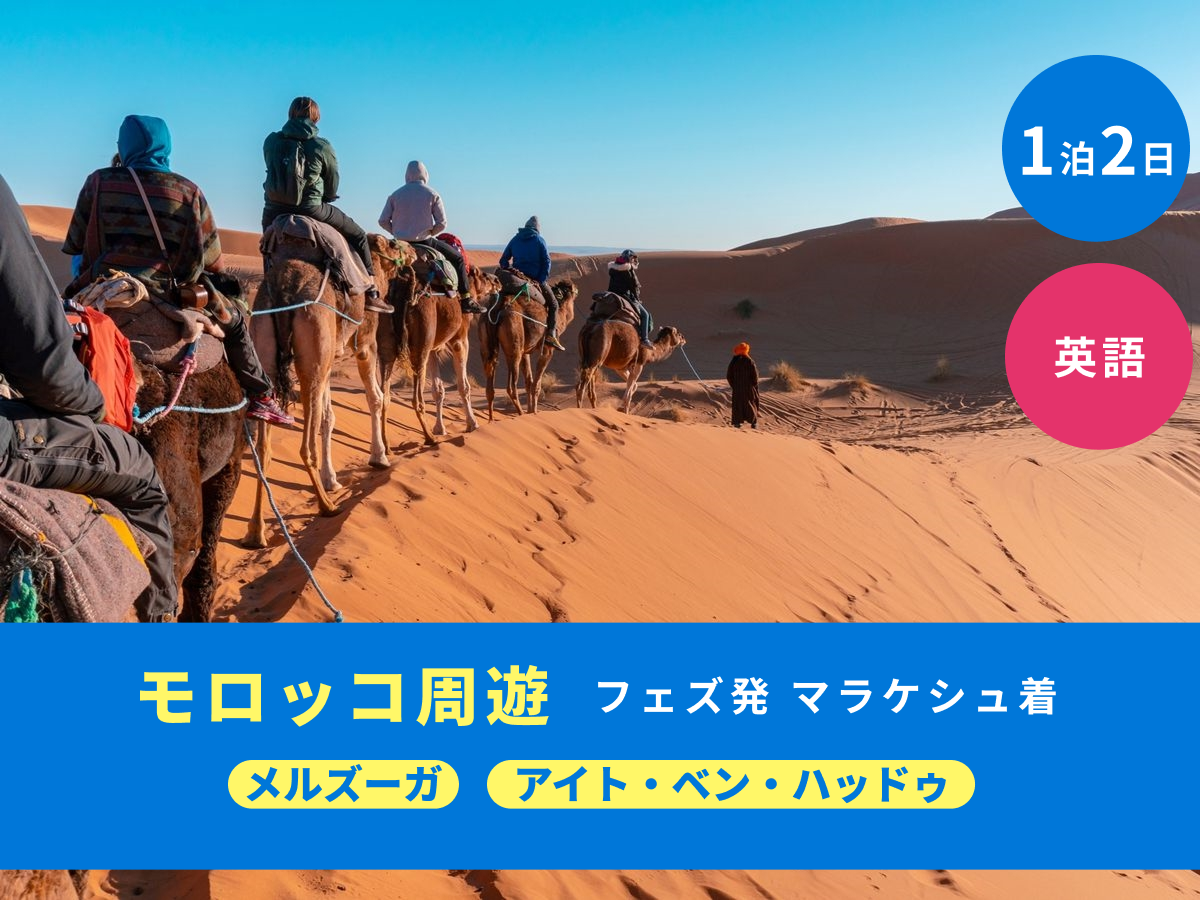 20250516074111_1661356409_1457