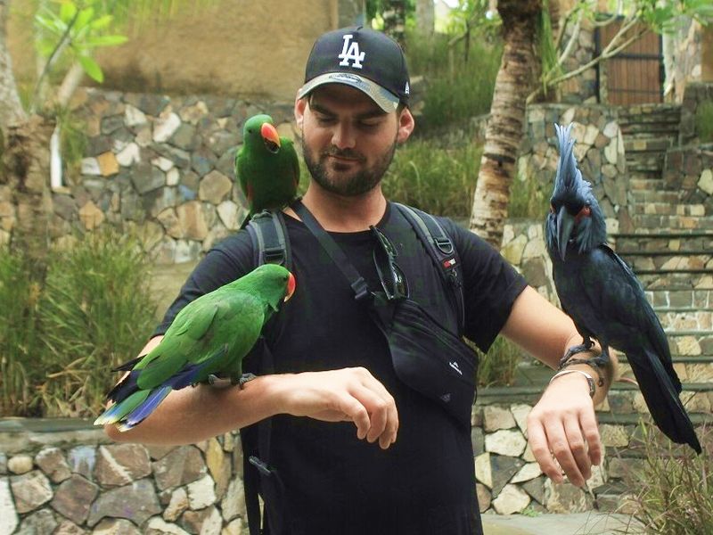 main-attraction-image