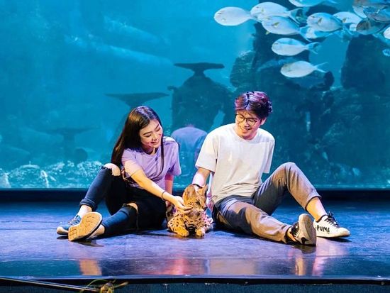 Pict - Jakarta Aquarium - 4