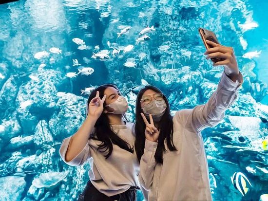 Pict - Jakarta Aquarium - 2